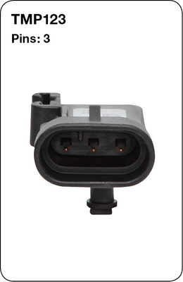 TMP123 - TRIDON AUSTRALIA PTY LTD 1999