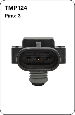 TMP124 - TRIDON AUSTRALIA PTY LTD 1999