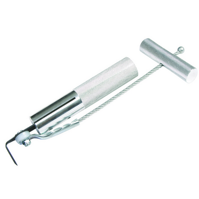 313309 - TRIDON AUSTRALIA PTY LTD 1999