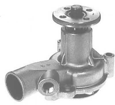 W564