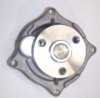 W8181