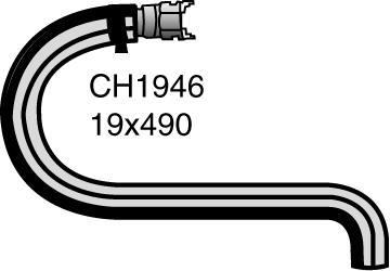 CH1946