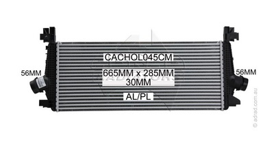 CACHOL045CM - ADRAD