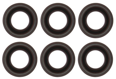 SPT021-06 - AA GASKETS PTY LTD
