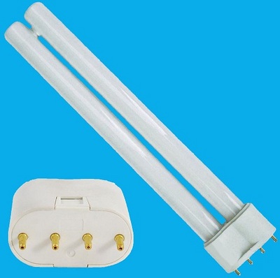 03742761 - BLACKWOODS & ATKINS