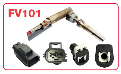 FV101 - IM GROUP