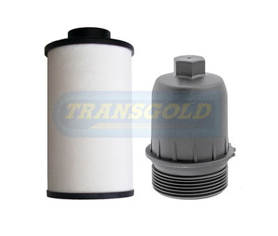 KFS1191 - TRANSGOLD
