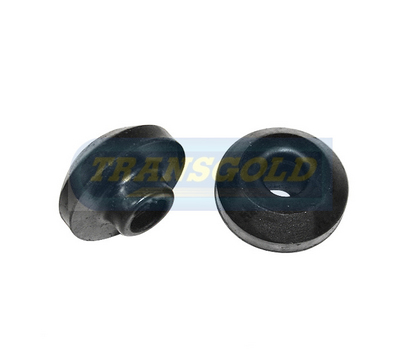 SK1369 - TRANSGOLD