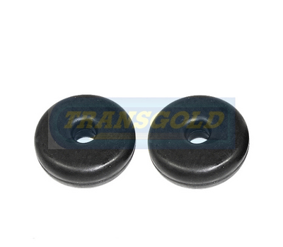 SK1379 - TRANSGOLD