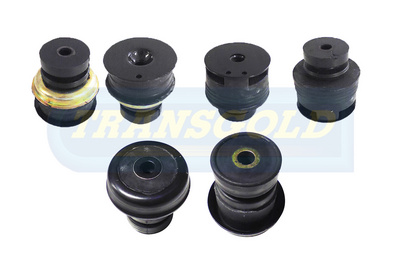 SK2501 - TRANSGOLD
