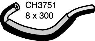 CH3751